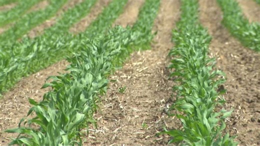 Applications open for 2026 Iowa Century and Heritage Farm recognition