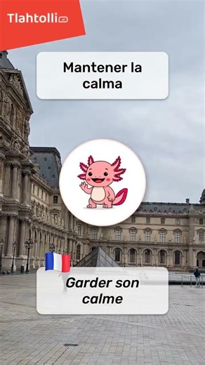 Cómo decir "mantener la calma" en francés 🇫🇷 #shorts
