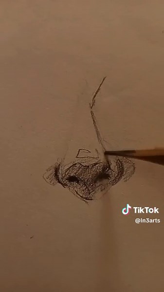 ☆ nose tutorial ☆