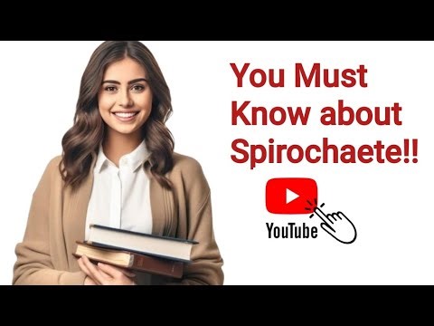 Best information about Spirochaete and you Should know about.