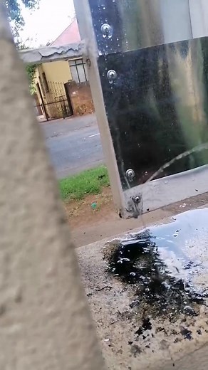 Electric Fence Incident: Unexpected Consequences