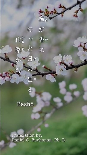 Bashō | Spring haiku, plum blossoms #basho #haiku #peaceful #nature #zen #plumblossom #reflective