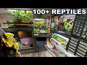 REPTILE ROOM TOUR JULY 2023!! 100+ REPTILES in one room!