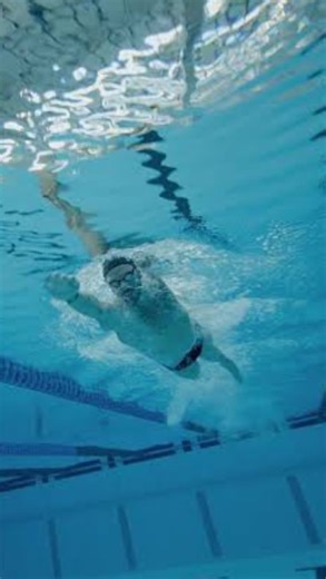 22K views · 181 reactions | @kyle_chalmers3 showing what speed and length look like.  | Effortless Swimming | Facebook