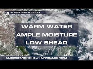 Understanding How Hurricanes Form
