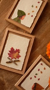 1.3M views · 22K reactions | Gnome portraits using leaves #diyfalldecor #diyfallcrafts #LeafCrafts | Sibster | Facebook