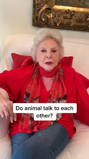 Do animals talk to each other? #petpsychic #animalcommunicator #animalcommunication #talkinganimals #pet #sonyafitzpatrick #petlover