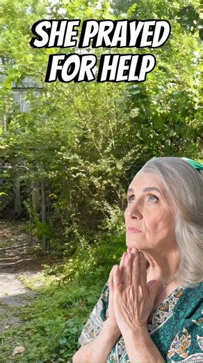 267K views · 10K reactions | She Prayed For Help! She has been unable to use her back deck and back yard for over 5 years. Then I showed up. #lawncare #helpingothers #bekind #bethechange | Mow It Wells | Facebook
