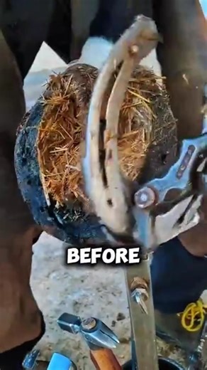 Cleaning Your HORSE'S Hoof Properly? #horse #shorts