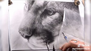 Puma Zeichnen: Ein Tutorial für Jung und Alt