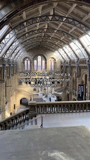 119K views · 1.3K reactions | It’s not just any squid, it’s Archie, our 8-metre giant squid. 撚 You can see Archie up close in our spirits collection tour! Find out more: https://brnw.ch/21wTgwt | Natural History Museum, London | Facebook