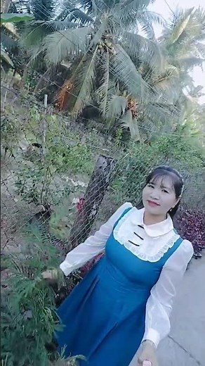 Cai Luong (Vietnamese traditional opera) by Vuong Linh