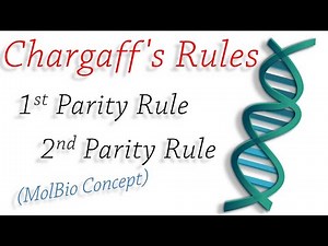 Concept|Chargaff's Rule