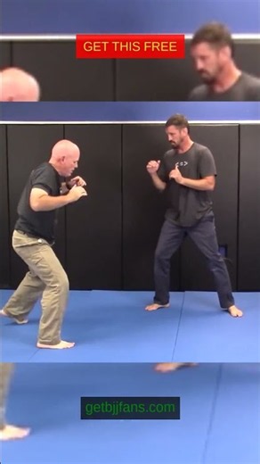 The Twister: Systematic Spine Control
