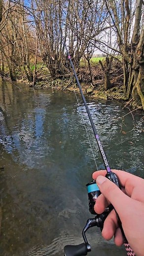 23K views · 180 reactions | Matériel utilisé : Canne : Pack PPS54UL...