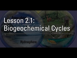 Lesson 2.1: Biogeochemical Cycling