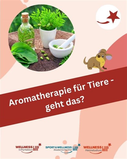 Aromatherapie für Tiere - geht das?