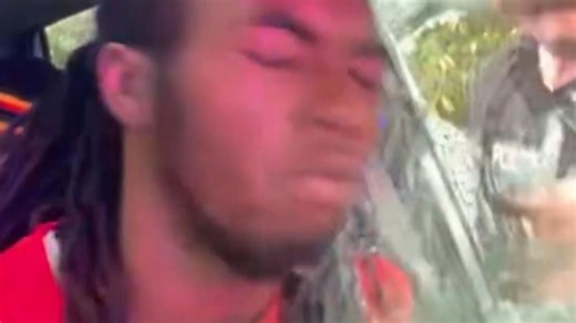 Window smashed and driver hit by police