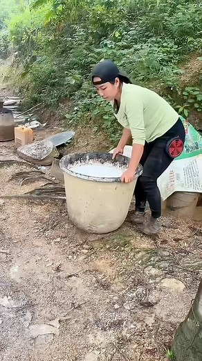 Inspirgreen on Instagram: "Pure rubber tree extraction 🌳 Save this... something big is coming 👀🌍 → @inspirgreen Credit: 我是小丽呀（橱窗有好物）"