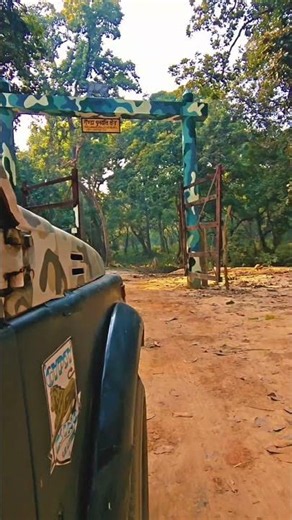 🦏 Rhino safari Dudhwa national park safari with shubham #tigerreserve #rhinoceros #wildlifejourney