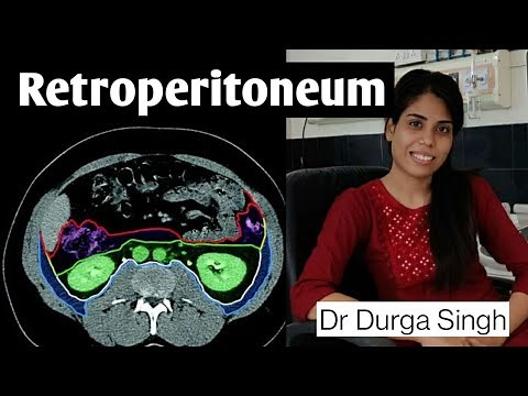 Retroperitoneum - radiological anatomy