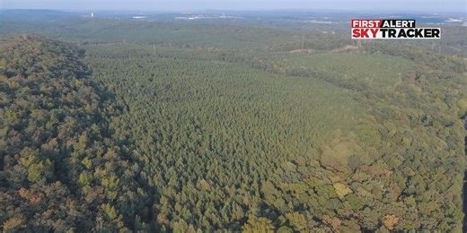 Bessemer city leaders to consider controversial data center proposal