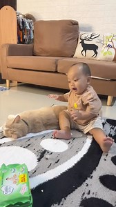 57 reactions · 4 comments | Beli di sini https://shope.ee/4pkw3TyVIg?share_channel_code=4 (Pororo Official Store ) #reels | Anjali | Facebook