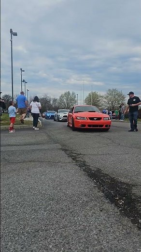 2004 fors mustang mach 1