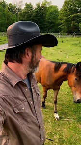 Regina!!! Come see me at Capital Auto Theatre at the Conexus Arts Centre on February 6! Tickets are on sale now! | Tom Green