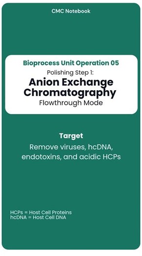 Typical mAb Downstream Purification Workflow pdf