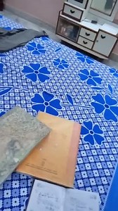 Which of the following represents the Lewis structure of N2​ mo... | Filo