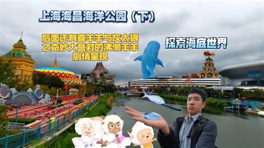 上海海昌海洋公园，沉浸式探索海底世界，欣赏梦幻水母，体验欢乐奇趣氛围趣。后面喜羊羊与灰太狼之奇妙大营救呈现沸懒羊羊开万能事务所，懒羊羊乱花奇力石被骂哭剧情。