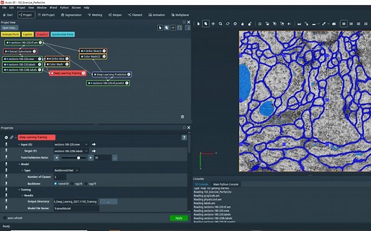 【Avizo Amira培训练习】 深度学习 - 图像多相分割