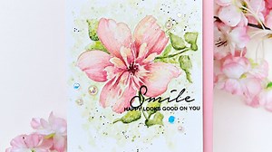 1.9K views · 81 reactions | Check out our new weekly feature -...