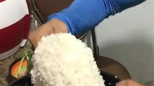 分享16种奇特物质之“小霉菌”-你认识几种？-菌-霉菌-涨知识-黄曲霉-真菌