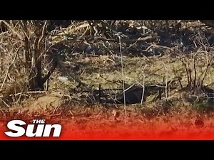 Ukrainian drone steals Russian walkie-talkie allowing troops to listen in