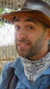 27K views · 251 reactions | Watch your belongings around a fox! 力 #wildlife #foxes #cuteanimals #coyotepeterson | Coyote Peterson | Facebook