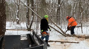 10K views · 223 reactions | In this February 14, 2019 firewood video my supplier Mike and I use our Stihl chainsaws to fell several sassafras trees in the neighbors woods then we buck them into firewood length blocks. PLEASE be sure to FOLLOW or LIKE this page so you don't miss any entertaining or educational firewood videos. | Joe's Premium Firewood | Facebook