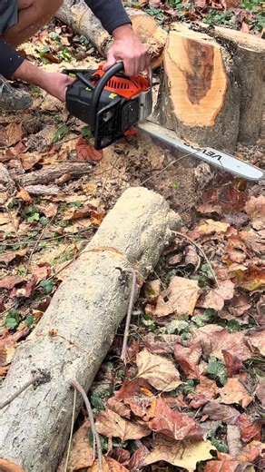 Super easy to put together it performs very well for the prize. I was very shocked. You won’t go wrong. Get it before it sells that. #chainsaw #saw #vevor #creatorsearchinsights