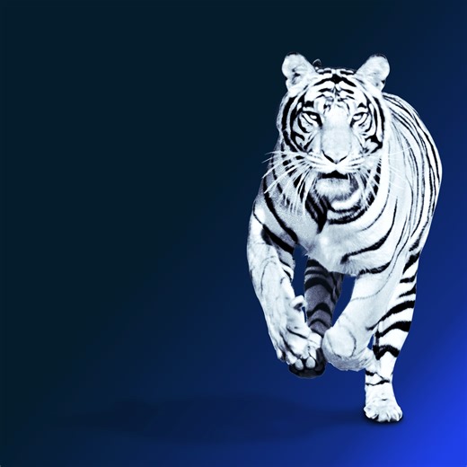 How Asia can boost growth through technological leapfrogging