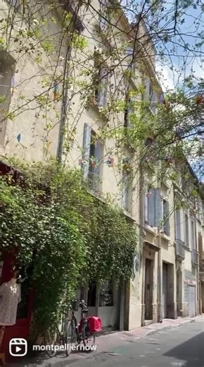 ❤️ Montpellier ❤️ ~~ 🎶 Musique: Another time - Musicien: LiQWYD | Montpellier Méditerranée Tourisme