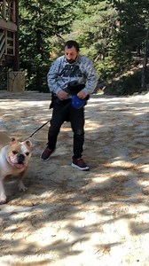 Köksal Baba and Boncuk’s Forest Adventure Boncuk Takes Control! 🐕🌲😂 | Köksal Baba