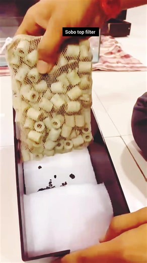 100K views · 536 reactions | Sobo top filter setup #aquarium #aquariumhobby #aquascape #us #usa #fishing #fishtank | mukul sharma | Facebook