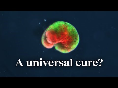 Biohacking our way to health with robot cells | Michael Levin