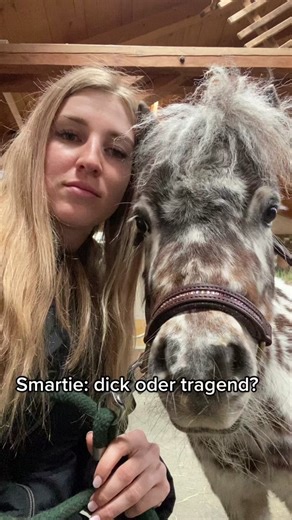 Ultraschalluntersuchung bei Smartie: Ist sie trächtig?