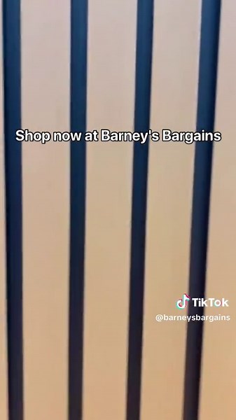 Barneys Bargains on TikTok