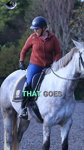 🧠🐴 Did you know? Most of the neural pathways from a horse’s brain run to the front feet — not the hind! That’s why understanding the front legs is so crucial when we talk about movement, steering, and even behaviour. If you’d like to dive deeper into the biomechanics of footfalls and how they shape your horse’s training, check out my Equitation Science course — link in bio. #EquitationScience #HorseTraining #Biomechanics #TheEquineCatalyst #ScienceBackedTraining #HorseBehaviour #LearningTheory