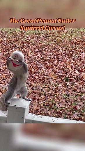 Meet Peanut, the fearless little squirrel with a big love for peanut butter. Today’s challenge? Getting that delicious treat from the inside of a mask hanging from a tree! First, Peanut cautiously investigates, sniffing the mask curiously. What’s this? Peanut butter inside? She tries to grab it, but the mask twists—revealing a big happy face, like a silly clown smiling down at her! Determined, Peanut pulls herself up, paws digging in to get at the treat. But oops! She loses her balance and tumbl