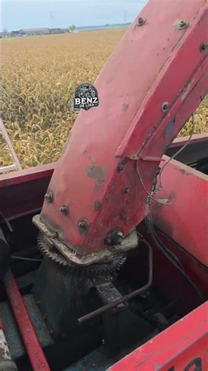 Mengele SF 6500 beim anhäckseln 😎🌽