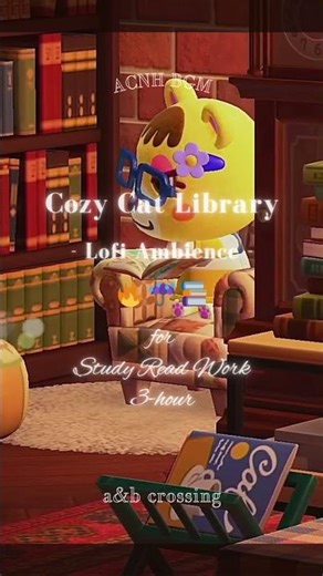 【小熊の図書館】short / Cozy Bear Library 🧸📚